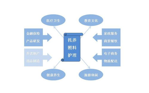 互联网 养老服务信息化的新生力量与未来展望
